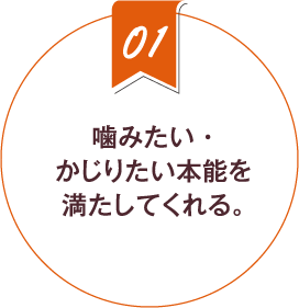 1.噛みたい・かじりたい本能を満たしてくれる。