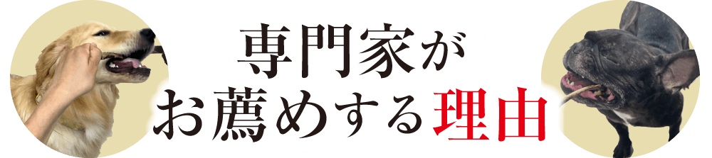 専門家がお薦めする理由