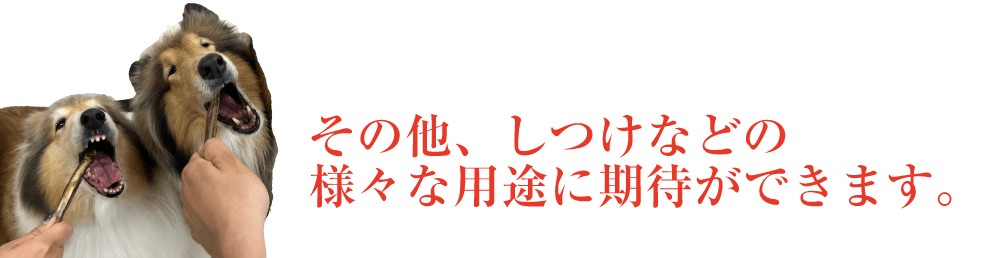 その他、しつけなどの様々な用途に期待ができます。