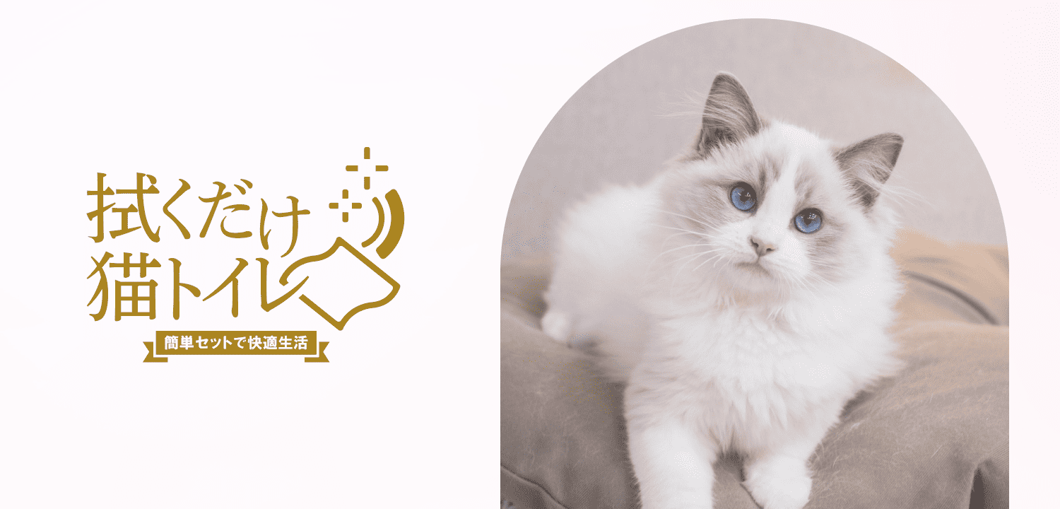 拭くだけ猫トイレ「簡単セットで快適生活」 | 国産猫用品専門店