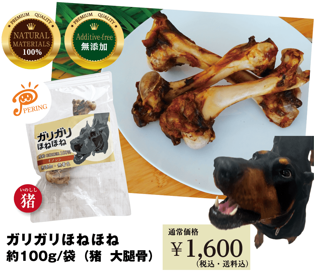 ガリガリほねほね約100g/袋（猪・大腿骨）【通常価格￥1,600】（税込・送料込）