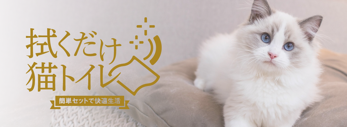 拭くだけ猫トイレ